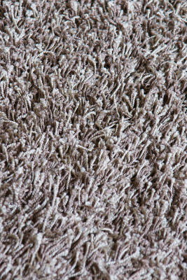 Carpet, par Xavier E. G. Dierick
